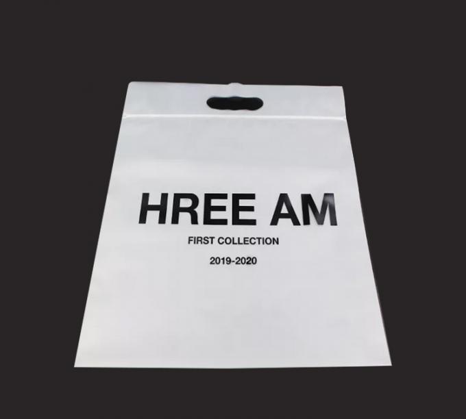 Custom Printing Eco-Friendly Resealable Plastic Ziplock Bags With Handle For Clothes Packaging Bag 1