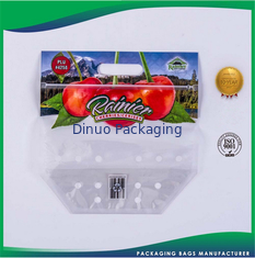 Recyclable Plastic Custom Printed Packaging Bags for Food / Garments / Grocery