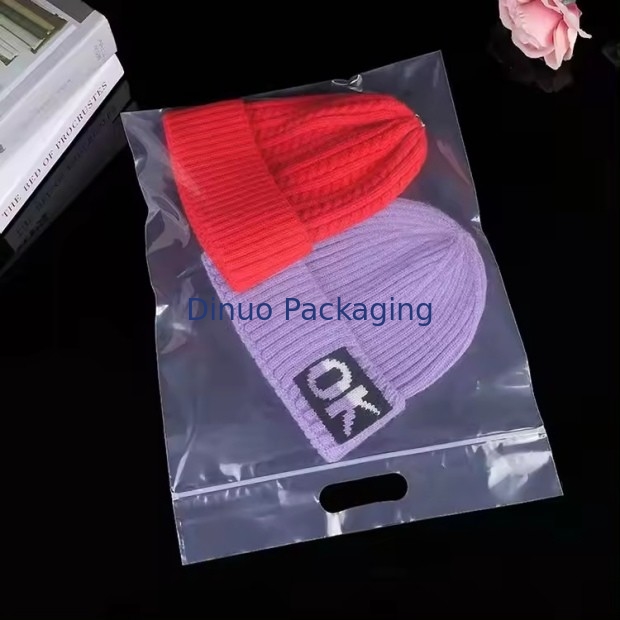Custom Printing Eco-Friendly Resealable Plastic Ziplock Bags With Handle For Clothes Packaging Bag