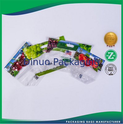 Recyclable Plastic Custom Printed Packaging Bags for Food / Garments / Grocery
