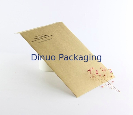CMYK Printing Kraft Courier Packing Bags 9.5x14.5cm